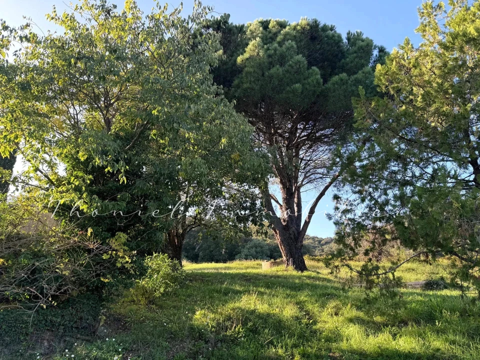 Agence immobilière Grimaud | Thoniel Immobilier | vente Maison Cogolin