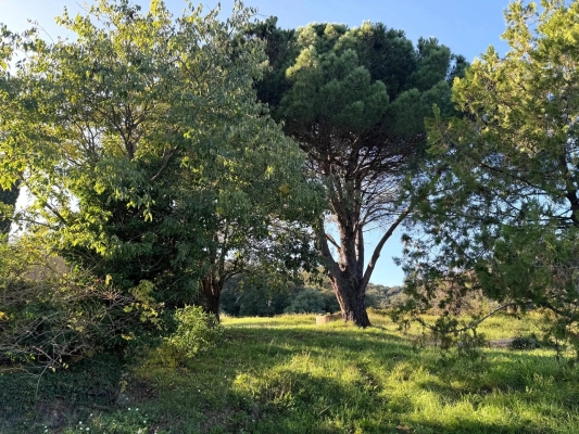 à vendre maison, villa Cogolin - A vendre : Maison de campagne pleine de charme à Cogolin