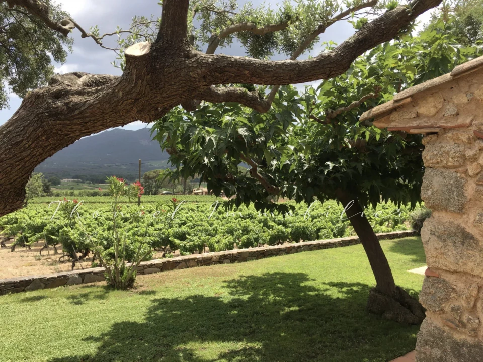 Agence immobilière Grimaud | Thoniel Immobilier | vente Maison Le Plan-de-la-Tour