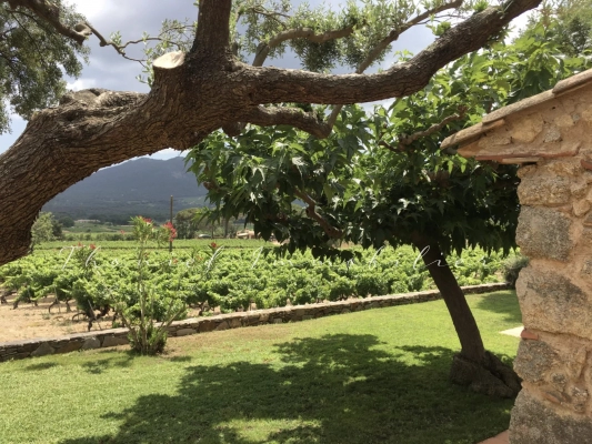 à vendre maison, villa Le Plan-de-la-Tour - Propriété en pierre au Plan de la Tour