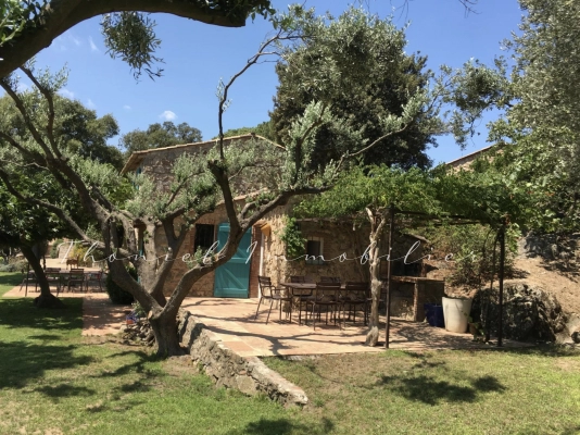 à vendre maison, villa Le Plan-de-la-Tour - Propriété en pierre au Plan de la Tour