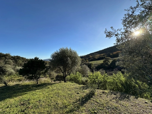 à vendre maison, villa Grimaud - Bastide de charme à vendre dans la campagne de Grimaud