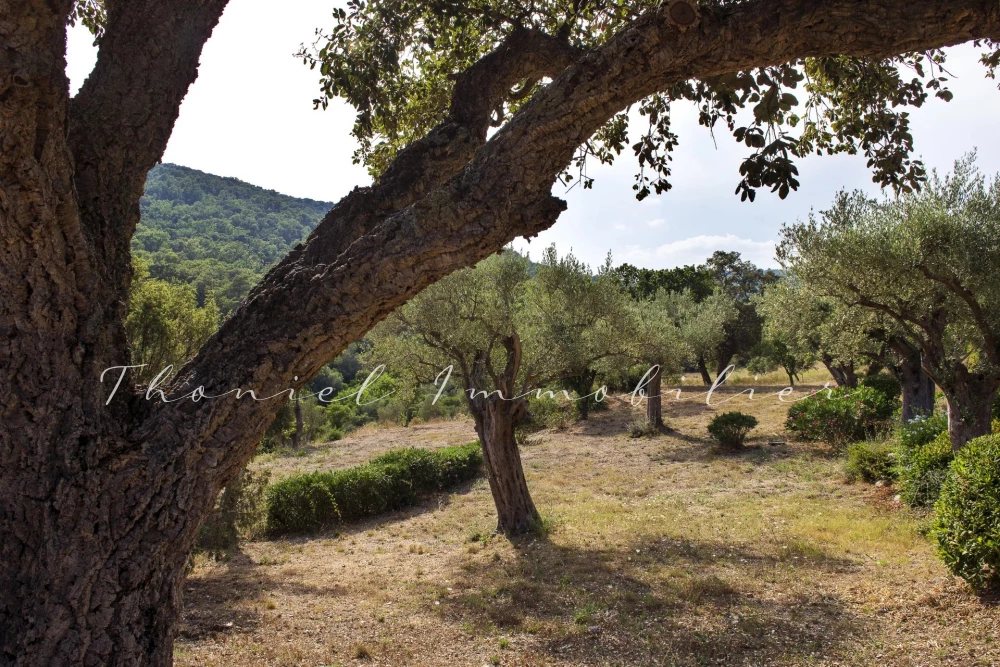 Agence immobilière Grimaud | Thoniel Immobilier | vente Maison Grimaud