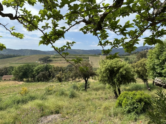 à vendre maison, villa Grimaud - Maison de campagne à vendre à Grimaud