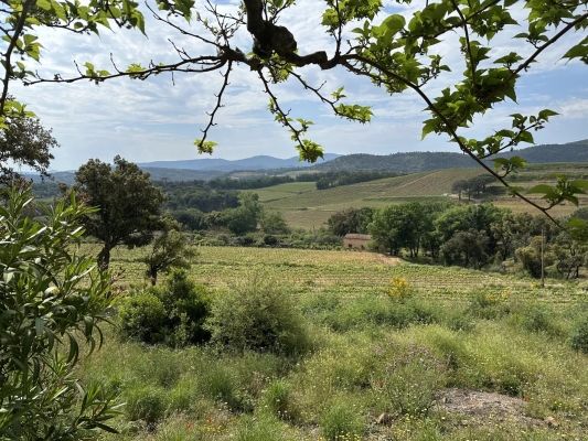 Agence immobilière Grimaud | Thoniel Immobilier vente villa Grimaud