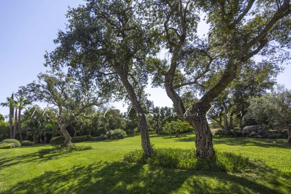 Agence immobilière Grimaud | Thoniel Immobilier vente villa Grimaud
