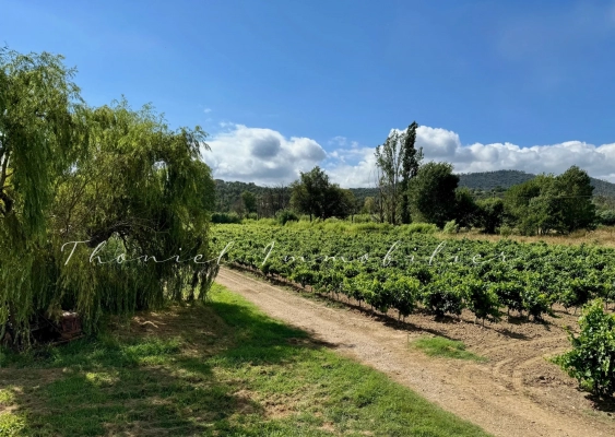 à vendre maison, villa Cogolin - Propriété avec vignes dans la campagne de Cogolin