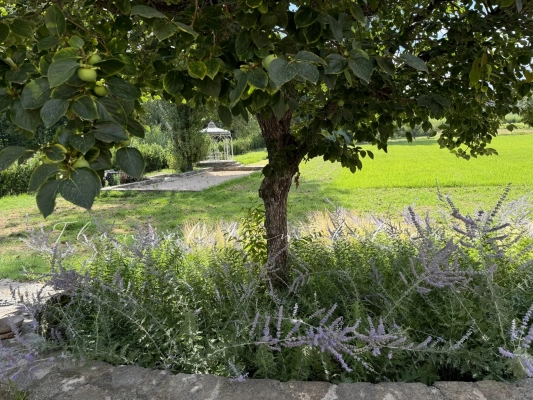 Agence immobilière Grimaud | Thoniel Immobilier vente villa Cogolin
