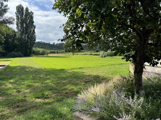 à vendre maison, villa Cogolin - Propriété avec vignes dans la campagne de Cogolin