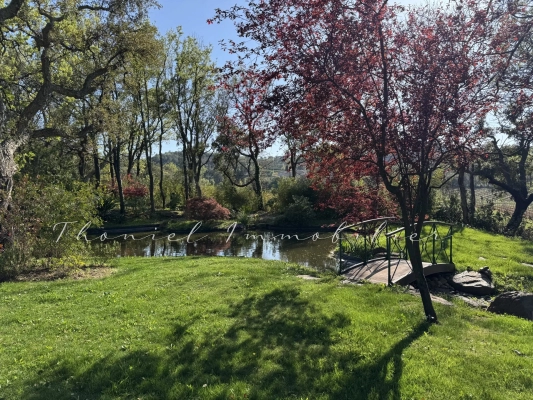 à vendre maison, villa Grimaud - Exceptionnelle propriété de caractère à vendre