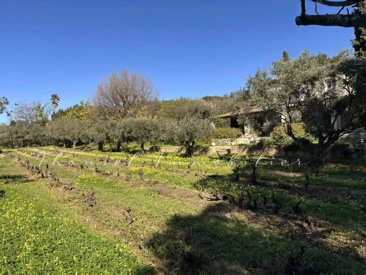 Agence immobilière Grimaud | Thoniel Immobilier sale House, villa Saint-Tropez