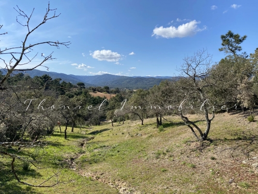 For sale house, villa Cogolin - For sale : Property in the absolute peace and quiet of the Cogolin countryside