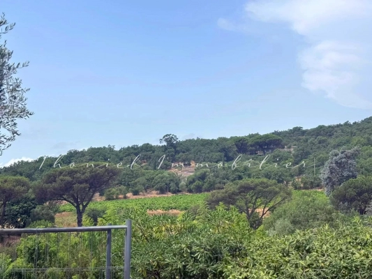 Vente terrain Grimaud - Terrain constructible de 1 200 m² à vendre à Grimaud