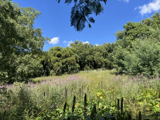 Vente terrain Grimaud - A vendre Terrain à bâtir à Grimaud