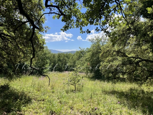 Agence immobilière Grimaud | Thoniel Immobilier vente Terrain Grimaud