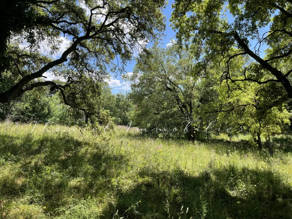 Agence immobilière Grimaud | Thoniel Immobilier | vente Terrain Grimaud
