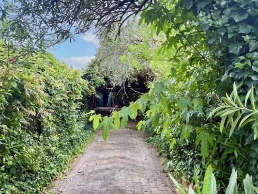Agence immobilière Grimaud | Thoniel Immobilier sale Land Cogolin