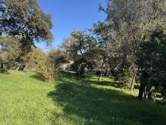 For sale land Grimaud - Beautiful plot of land for sale in the Grimaud countryside
