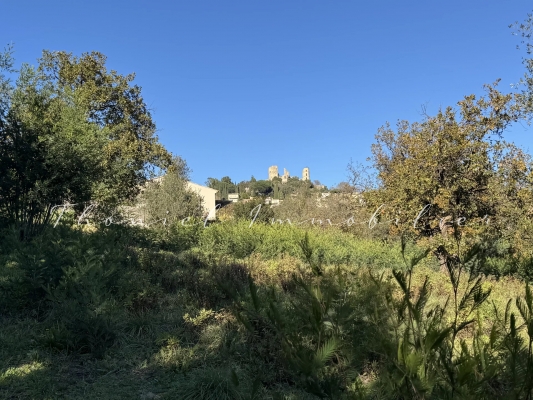 Agence immobilière Grimaud | Thoniel Immobilier sale Land Grimaud